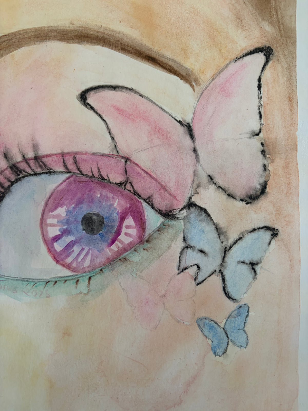 El ojo de la metamorfosis 🦋