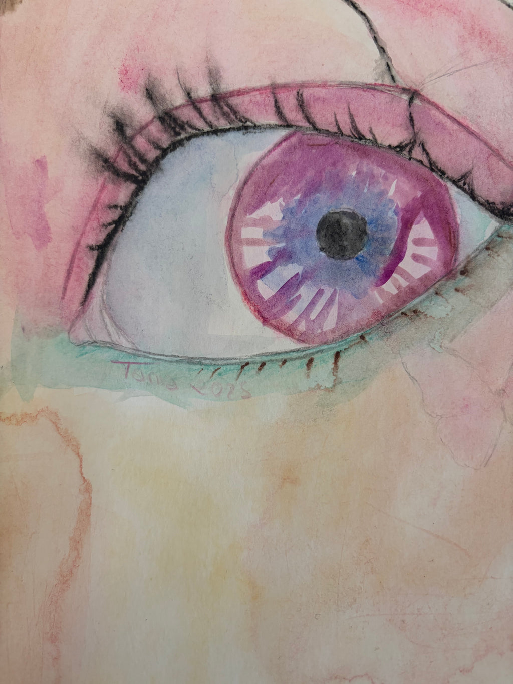 El ojo de la metamorfosis 🦋